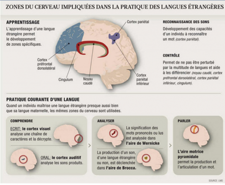 Youpi, rien n'est figé dans notre cerveau !, Châteaubourg, Julie Allemand