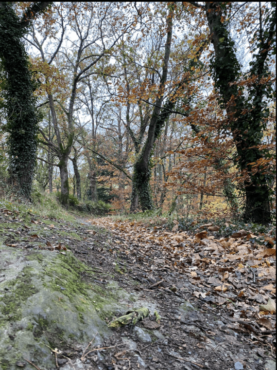 Belle journée !, Châteaubourg, Julie Allemand